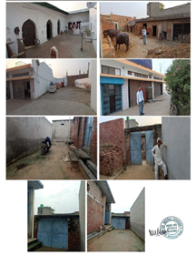 MOTHER CHOIS FROZEN FOOD-290720251